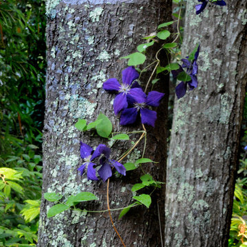 Bull Path, East Hampton