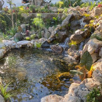 Encino Pond, Pondless Waterfall & Landscape Project