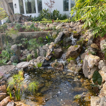 Encino Pond, Pondless Waterfall & Landscape Project