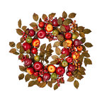 Apple Pomegranite Wreath On Natural Twig Base, 24"