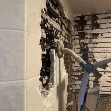 Bathroom renovation