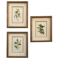 Traditional Fine Art Prints Vintage Botanical Flower Framed Prints, Set of 3