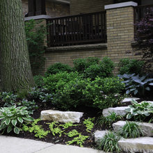 Landscaping Ideas