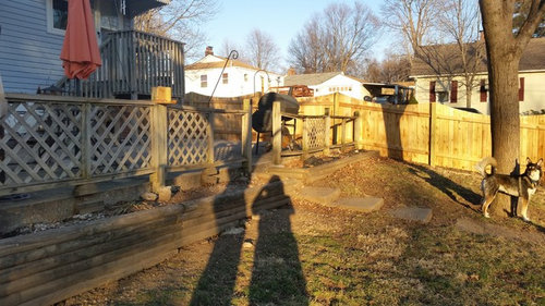 Backyard Landscape Design