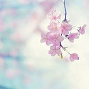 Đào Xuân's photo