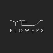 Foto di yesflowers