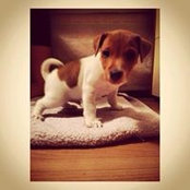 Taskinlar Ayhan's photo