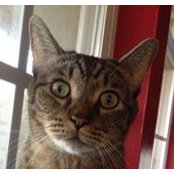 Catherine Bridges's photo