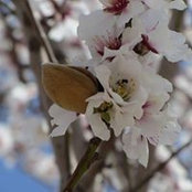Foto von Lori Carroll
