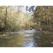 John Crawley's photo