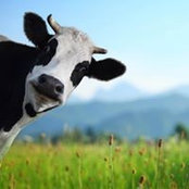 Neil Savage's photo