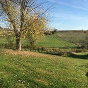 Foto von Cindy McKee