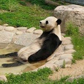 Foto von Rick EvilPanda