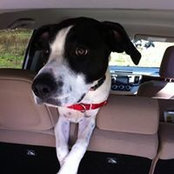 Scott Dennis's photo