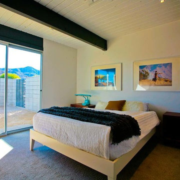 Desert Eichler Project