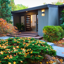 Rex House Exterior Paint