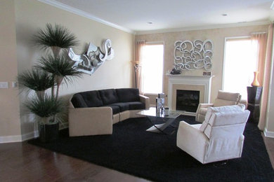 Living room - contemporary living room idea in New York