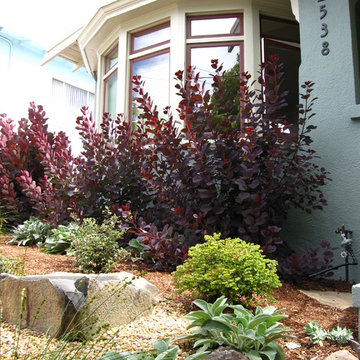 Warm Contemporary Front Garden