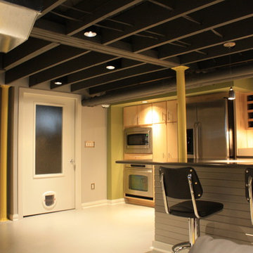 Contemporary Basement Remodel