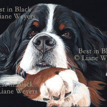 Bernese Mountain Dog Decor