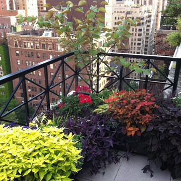 Plantings annual