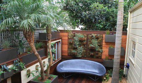 Room of the Day: An Outdoor Space for Living and Playing