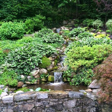 Custom Pond & Water Feature Installations