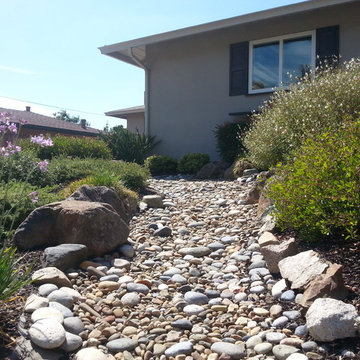 Dry Stream Bed