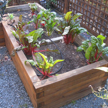 Raised bed vegetable garden Loudonville, NY