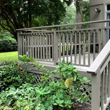 Deck Painting