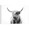 "Portrait Of A Highland Cow" by Dorit Fuhg, 12x8x0.75", Black Frame, 1pc6-12x18