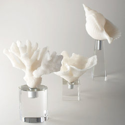 White Coral and Shell Sculptures by John-Richard Collection - Decorative Accents