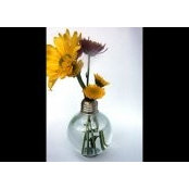 PartyIdea Pros's photo