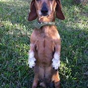 Vera de Zaldivar's photo