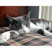 Kim Terrick's photo