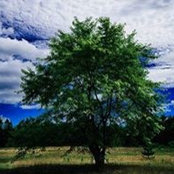 Maureen McCargill's photo