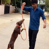Arun Kumar's photo