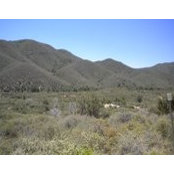 Bradshaw Mountain's photo