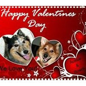 Arlene Mingle's photo