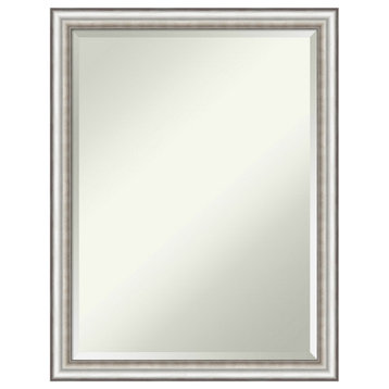 Salon Silver Narrow Beveled Wall Mirror 20.5 x 26.5 in.