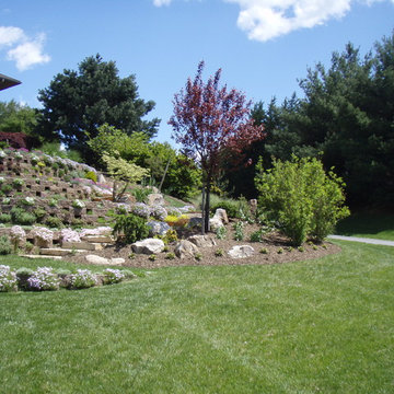 Living Walls - A Terraced Garden in Pikesville