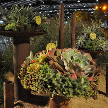 Landscape Ideas
