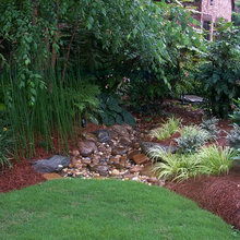 Dry Creek Bed