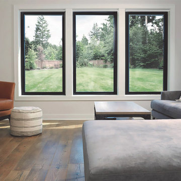 eGlassWindows Living Rooms