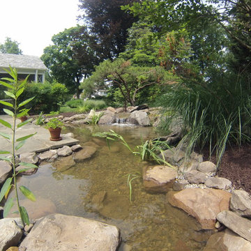 Pond Renovation