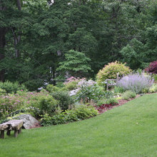 yard Ideas