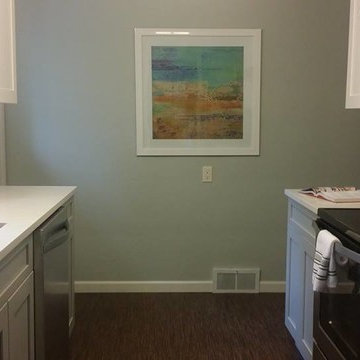Sol & Darcy's New Kitchen