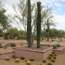 Landscape Ideas