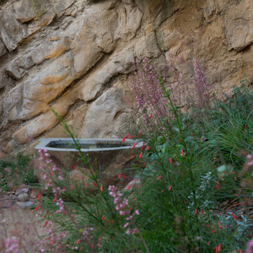 Flowering plants and water feature with stone background