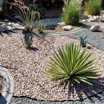 Water-Wise Home Yard Landscaping Project in Temecula